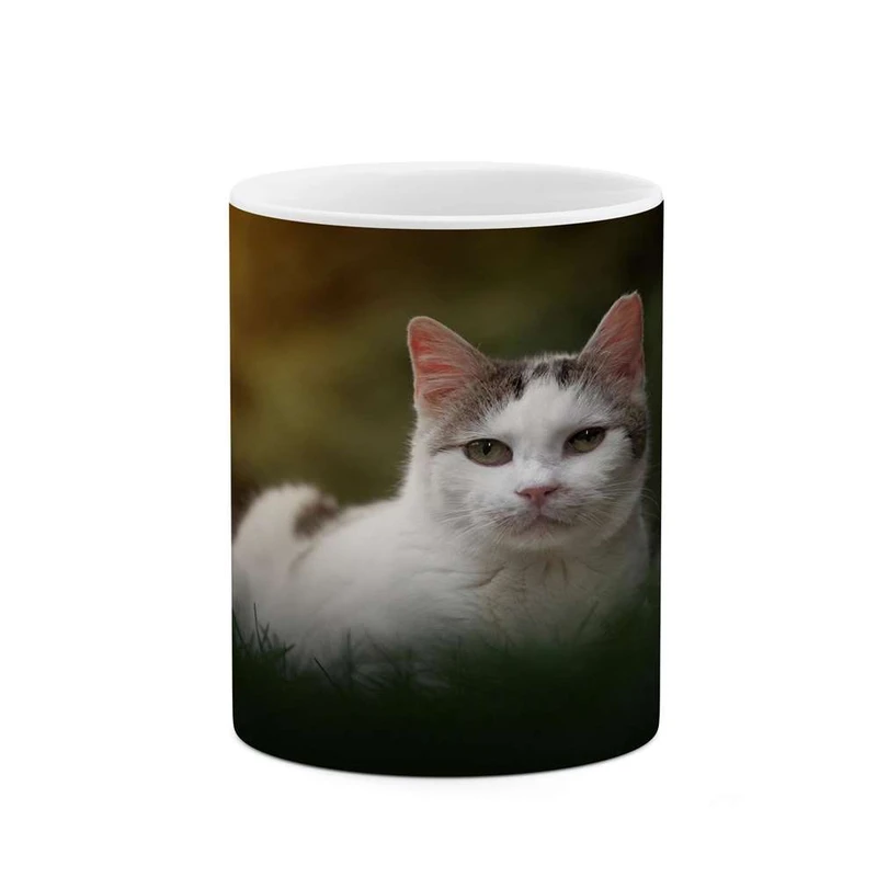 ماگ کاکتی مدل گربه کد mgh16785