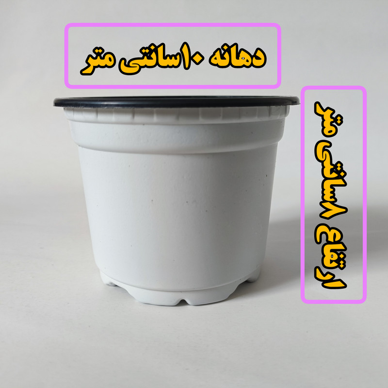 گلدان مدل ژله ای کد A_10 مجموعه 24 عددی