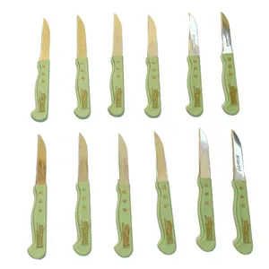 کارد میوه خوری ستاره مدل فاردینوکس بسته 12 عددی 