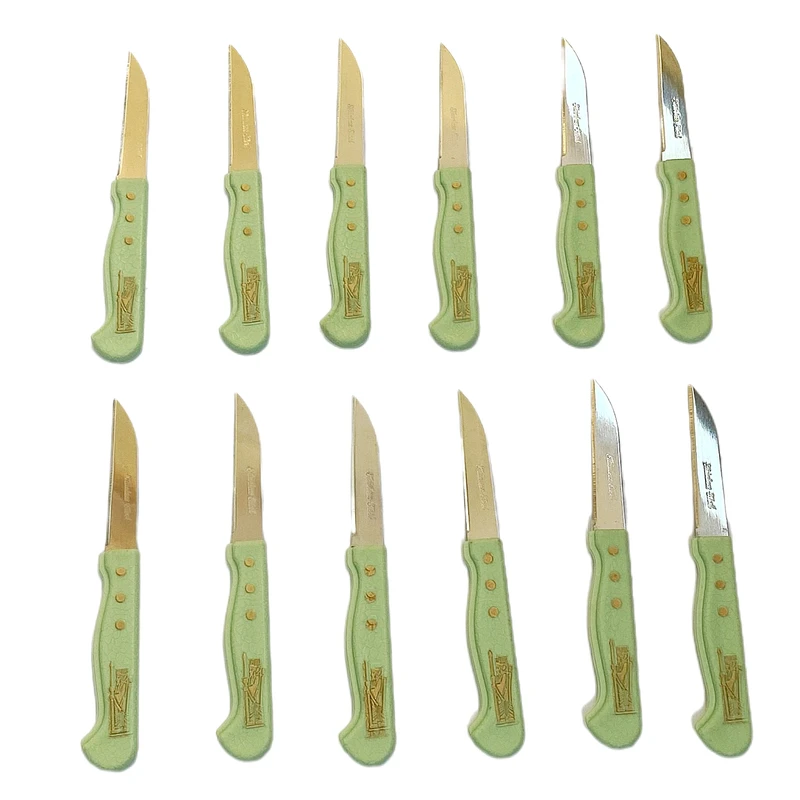 کارد میوه خوری ستاره مدل فاردینوکس بسته 12 عددی 