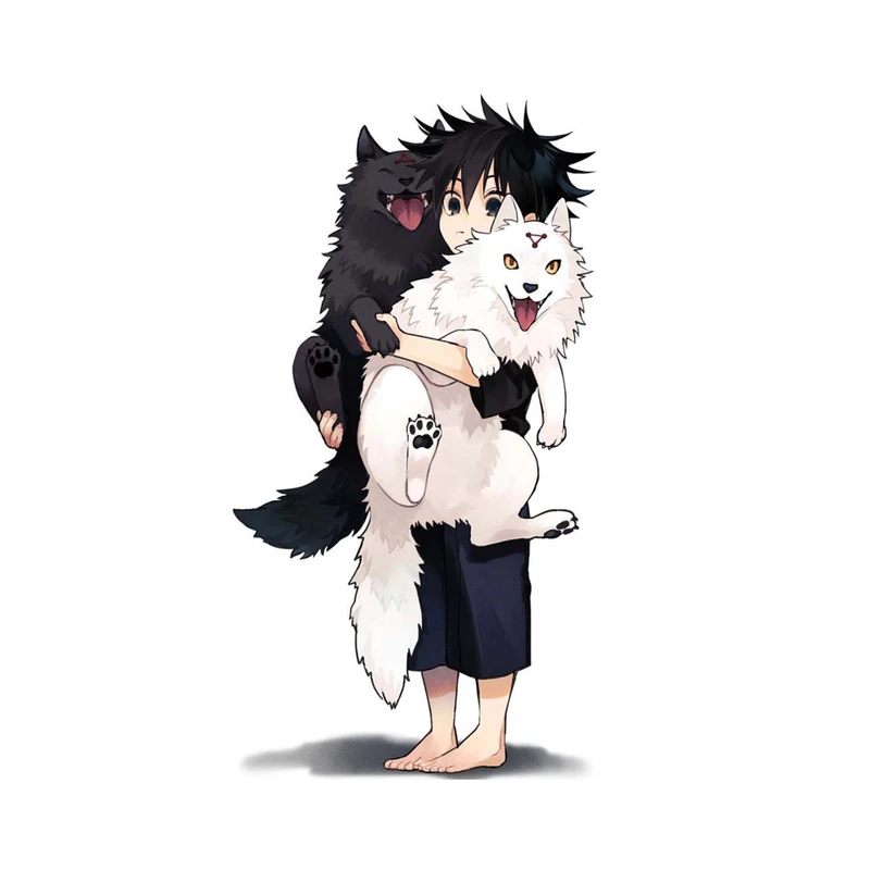 استیکر لپ تاپ و موبایل مدل انیمه طرح جوجوتسو کایسن مگومی فوشیگورو Jujutsu Kaisen Megumi Fushiguro کد 2252