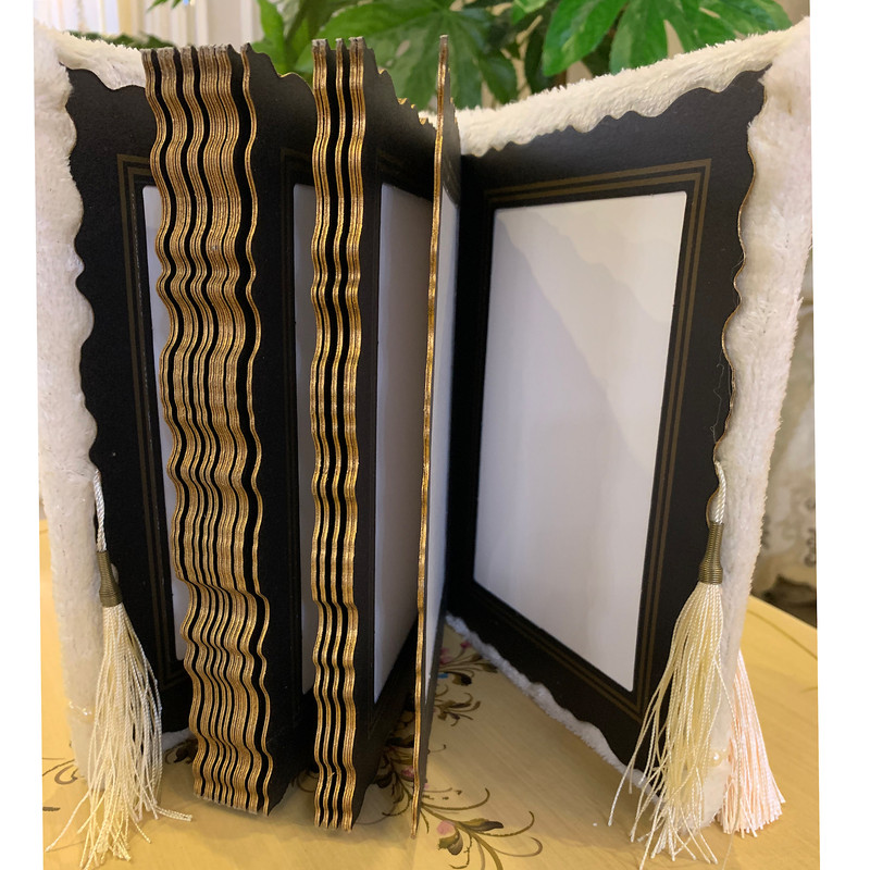 آلبوم عکس مدل Z13