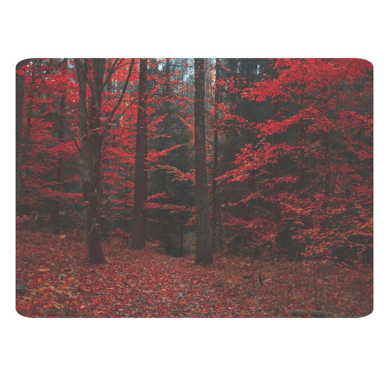 ماوس پد مدل منظره کد 412 BBB