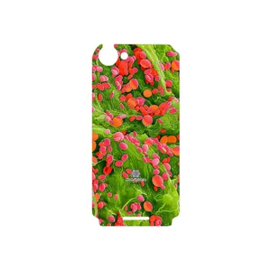 MAHOOT Atom Universe 3 Cover Sticker for Sony Xperia L