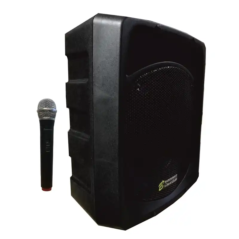 اکو پرتابل برین صوت مدل 12200 به همراه میکروفن بی سیم