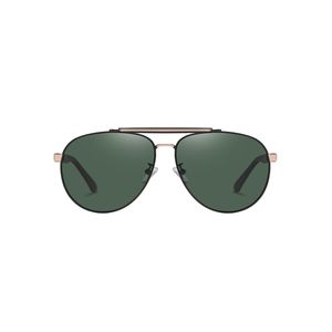 عینک آفتابی مردانه آلبرت وگ مدل 6315C84-P50 Polarized Avantgarde Visionary