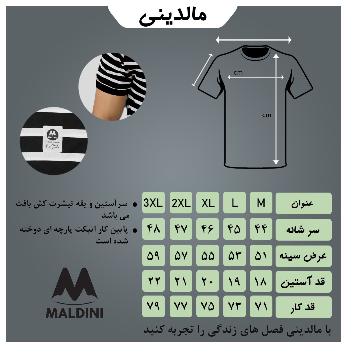 تی شرت آستین کوتاه مردانه مالدینی مدل t-427 -  - 6