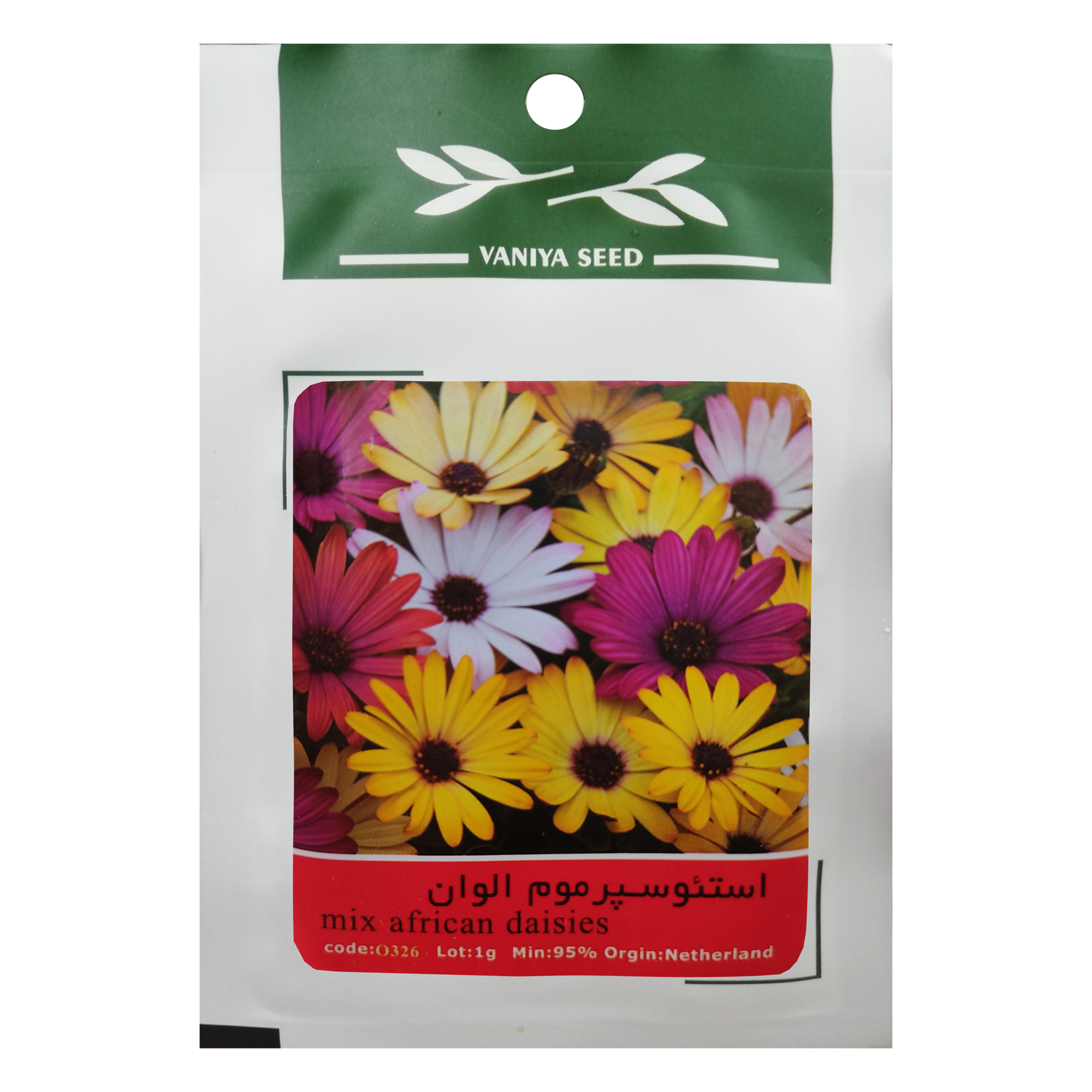 بذر گل استئوسپرموم الوان وانیا سید مدل O326