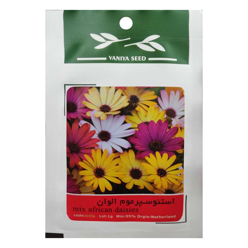 بذر گل استئوسپرموم الوان وانیا سید مدل O326