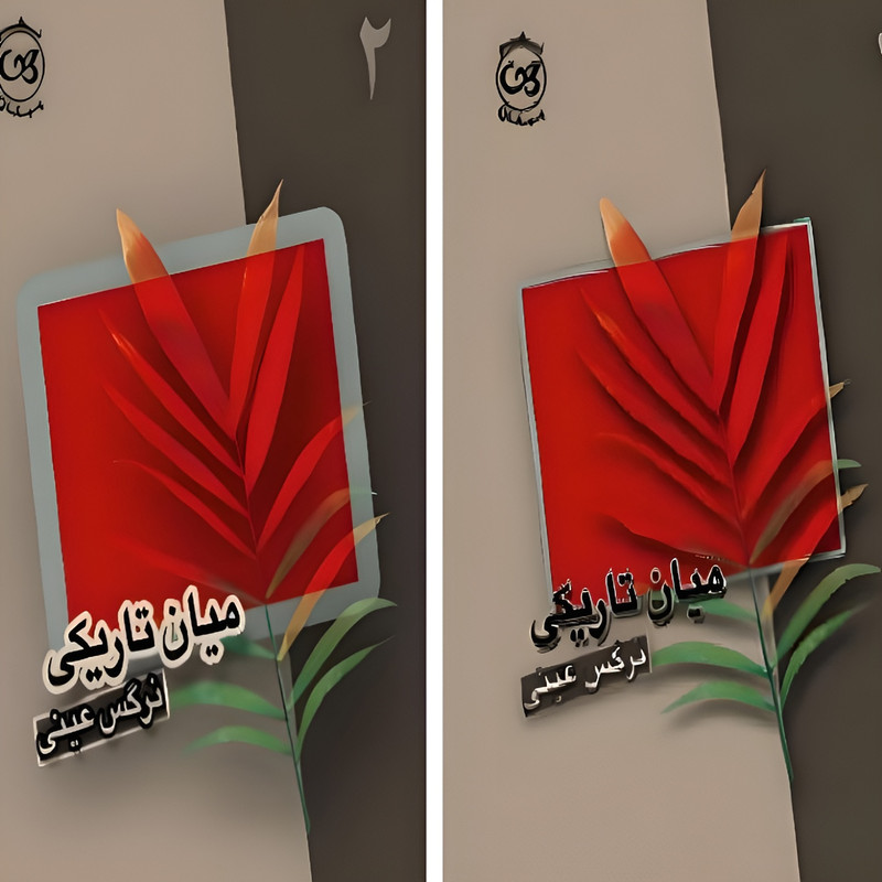 کتاب میان تاریکی اثر نرگس عینی نشر پیکان 2 جلدی