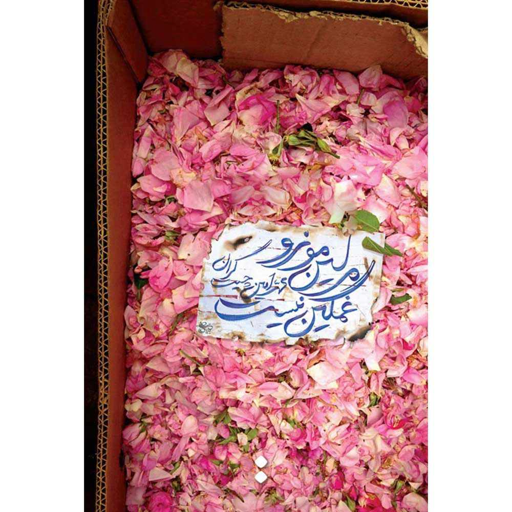 کتاب مرلين مونرو غمگين نيست اثر محمد امین چیت گران انتشارات اسم