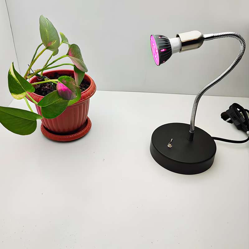 چراغ رشد گیاه 3 وات مدل رومیزی فلزی طرح فول اسپکتروم پایه GU5.3 کد BL147 چراغ رشد گیاه 3 وات مدل رومیزی فلزی طرح فول اسپکتروم پایه GU5.3 کد BL147