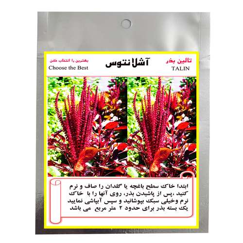 بذر گل آشلانتوس تالین بذر مدل BZT-1013