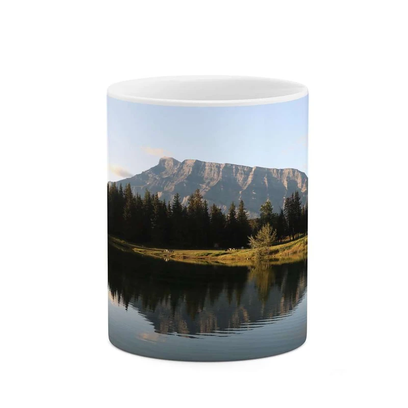 ماگ کاکتی مدل منظره کد mgh16495