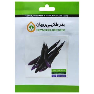بذر بادمجان قلمی بنفش بذر طلایی رویان کد BZT-153
