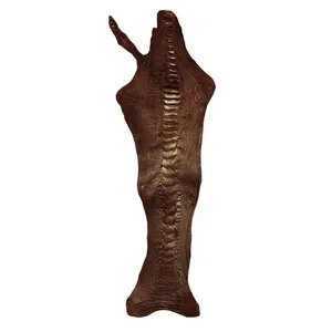 چرم طبیعی مدل ساق شتر مرغ کد OL093