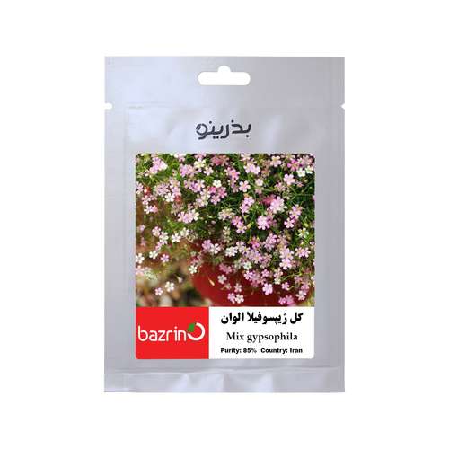 بذر گل عروس الوان (ژیپسوفیلا) بذرینو کد B-037