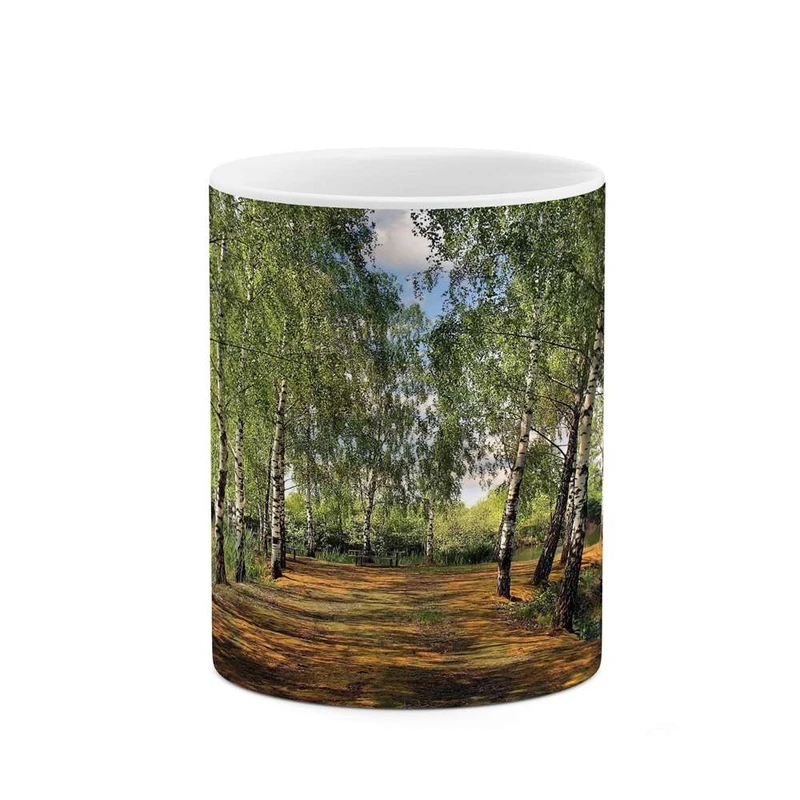 ماگ کاکتی مدل منظره کد mgh13191