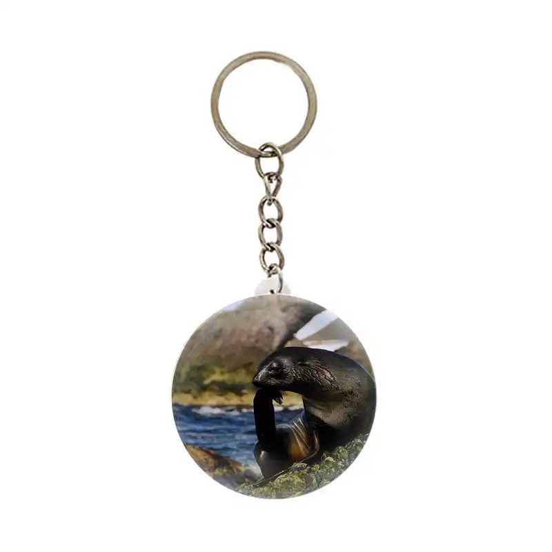 جاکلیدی عرش مدل فانتزی فک Seal کد Asj6095