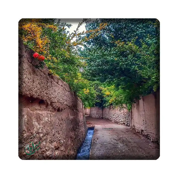 کاشی مبین ایده مدل سنتی kh10 کد 837