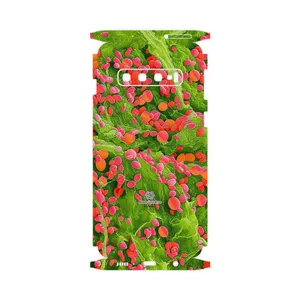 MAHOOT Atom Universe 3-FullSkin Cover Sticker for Samsung Galaxy S10