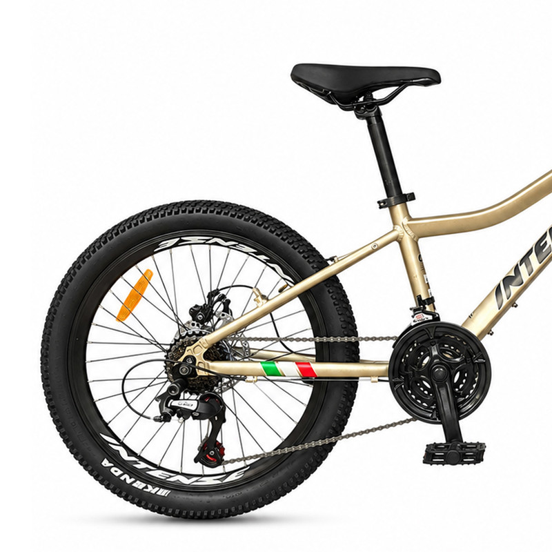 دوچرخه اینتنس مدل Wild Rider سایز 20 کد 2343