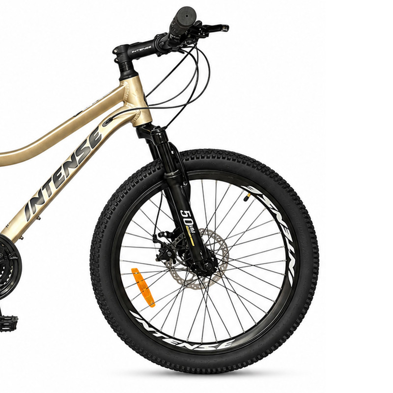 دوچرخه اینتنس مدل Wild Rider سایز 20 کد 2343