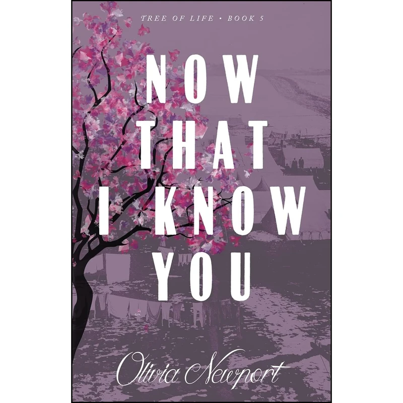 کتاب Now That I Know You اثر Olivia Newport انتشارات Solano Sun