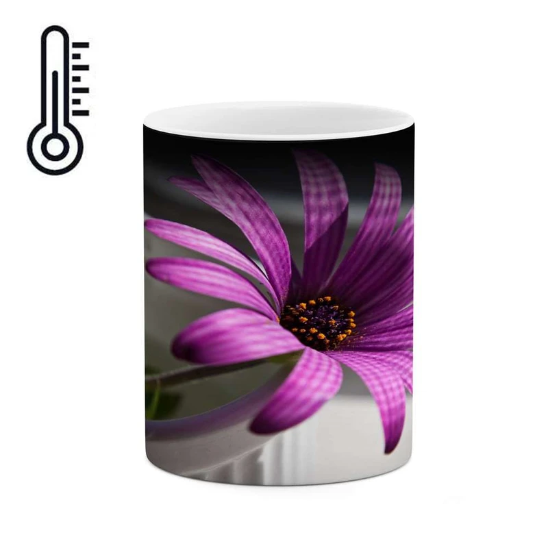 ماگ حرارتی کاکتی مدل گل کد mgh15907