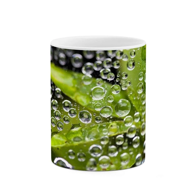 ماگ کاکتی مدل برگ کد mgh12139