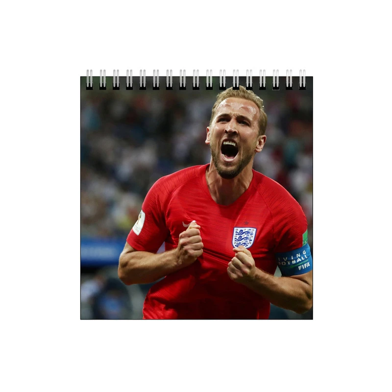 دفتر طراحی طرح هری کین کد 4017736