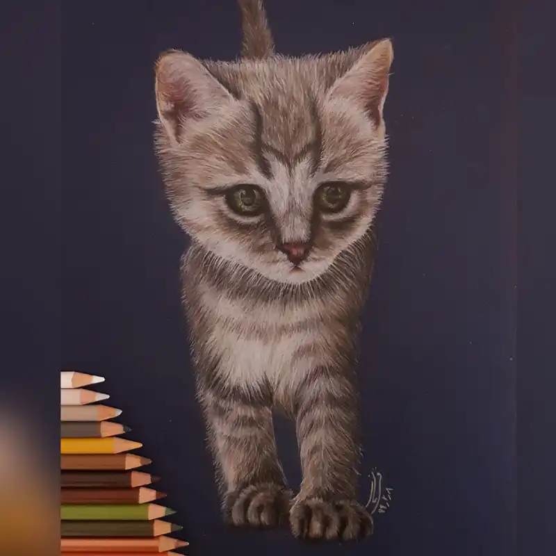 نقاشی مداد رنگی طرح گربه