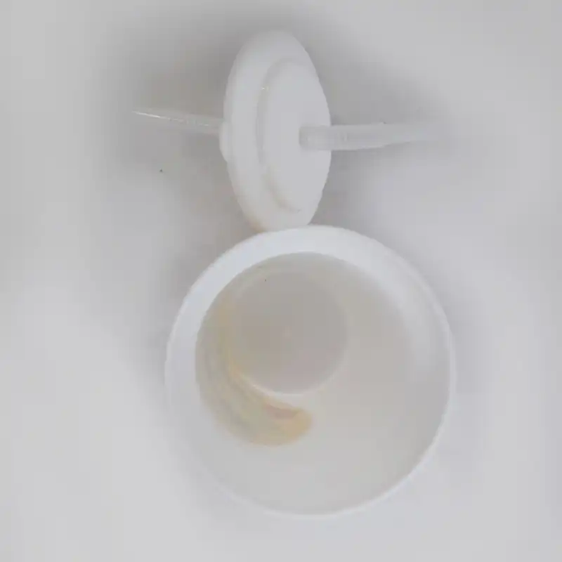 لیوان کودک طرح باب اسفنجی کد BO22