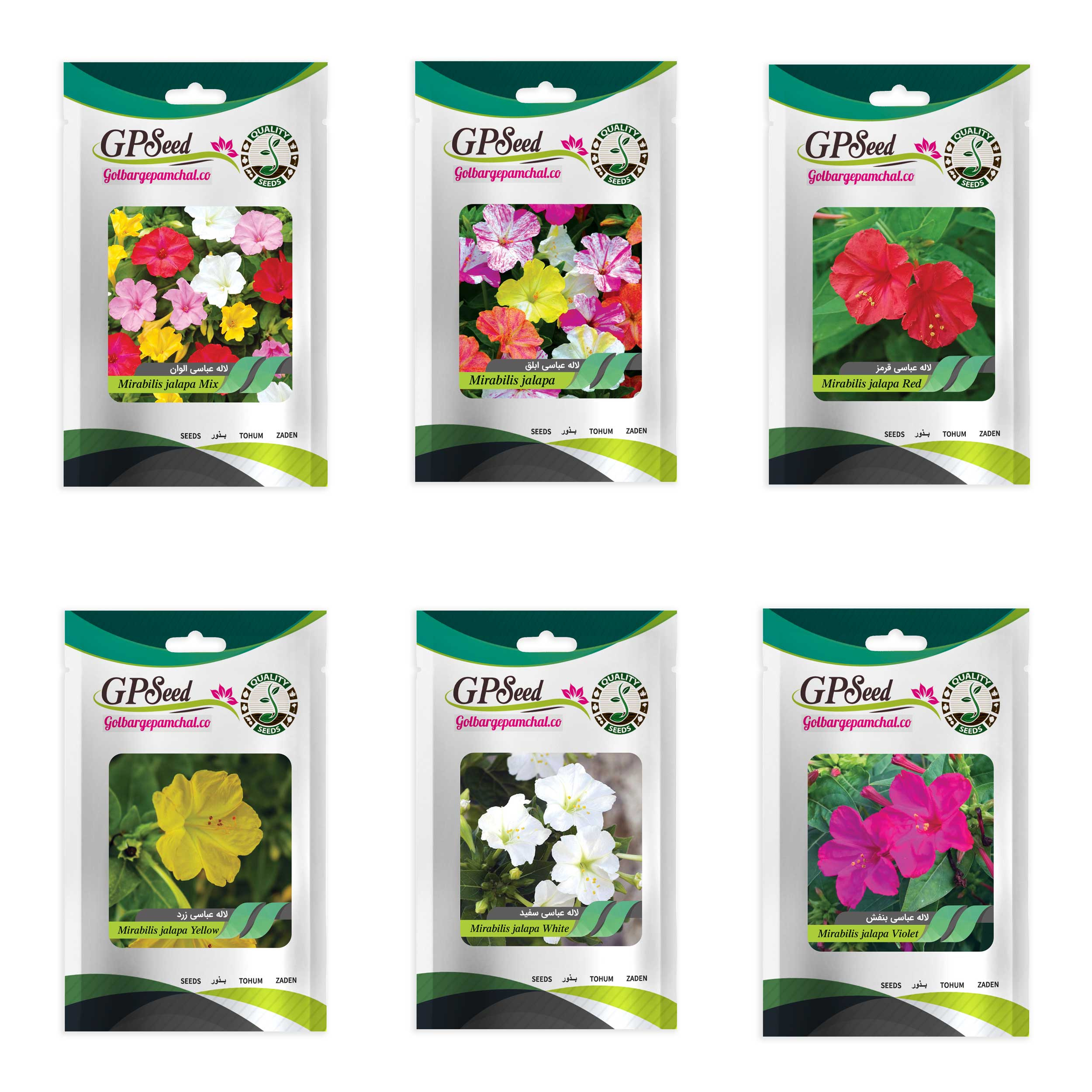 بذر گل لاله عباسی گلبرگ پامچال کد G-P-GP-06 مجموعه 6 عددی بذر گل لاله عباسی گلبرگ پامچال کد G-P-GP-06 مجموعه 6 عددی