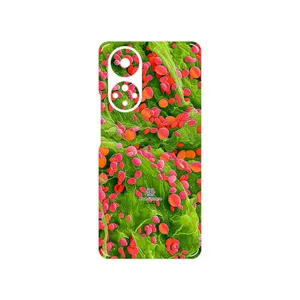 MAHOOT Atom Universe 3 Cover Sticker for Honor 50