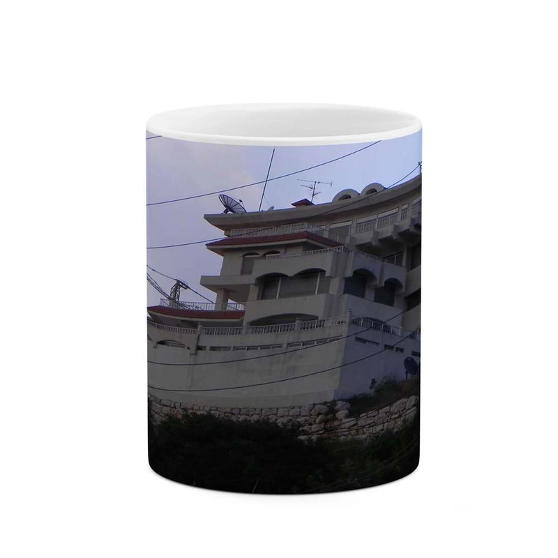 ماگ کاکتی مدل خانه کد mgh11234