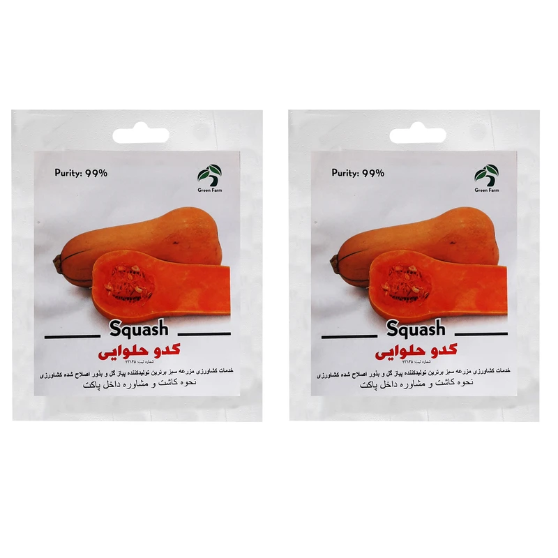 بذر کدو حلوایی گرین فارم کد ZEER 11 بسته 2 عددی