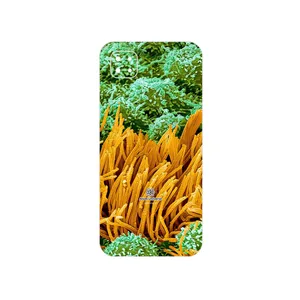 MAHOOT Atom Universe 6 Cover Sticker for Xiaomi Poco C3