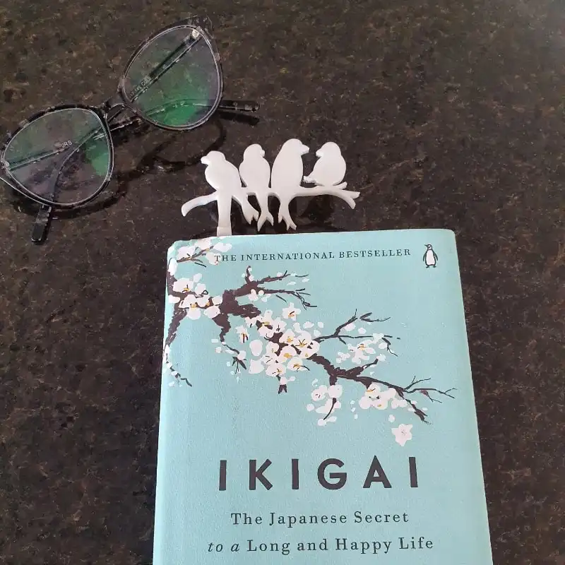 نشانگر کتاب مدل birds