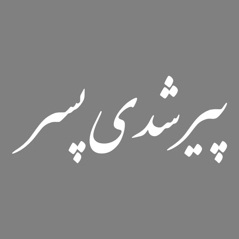 برچسب بدنه خودرو طرح پیر شدی پسر کد MT-W459