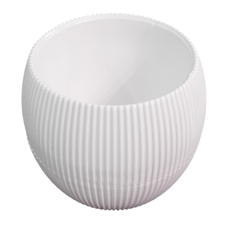 گلدان مدل کاکتوس