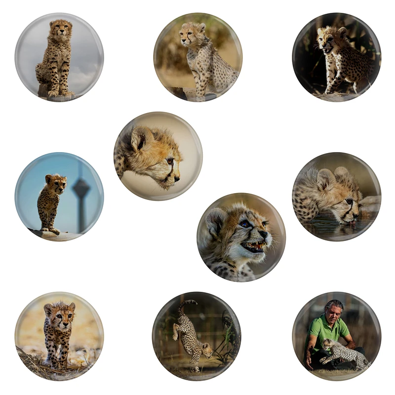 مگنت مدل پیروز یوزپلنگ ایران کد S4-10 مجموعه 10 عددی 