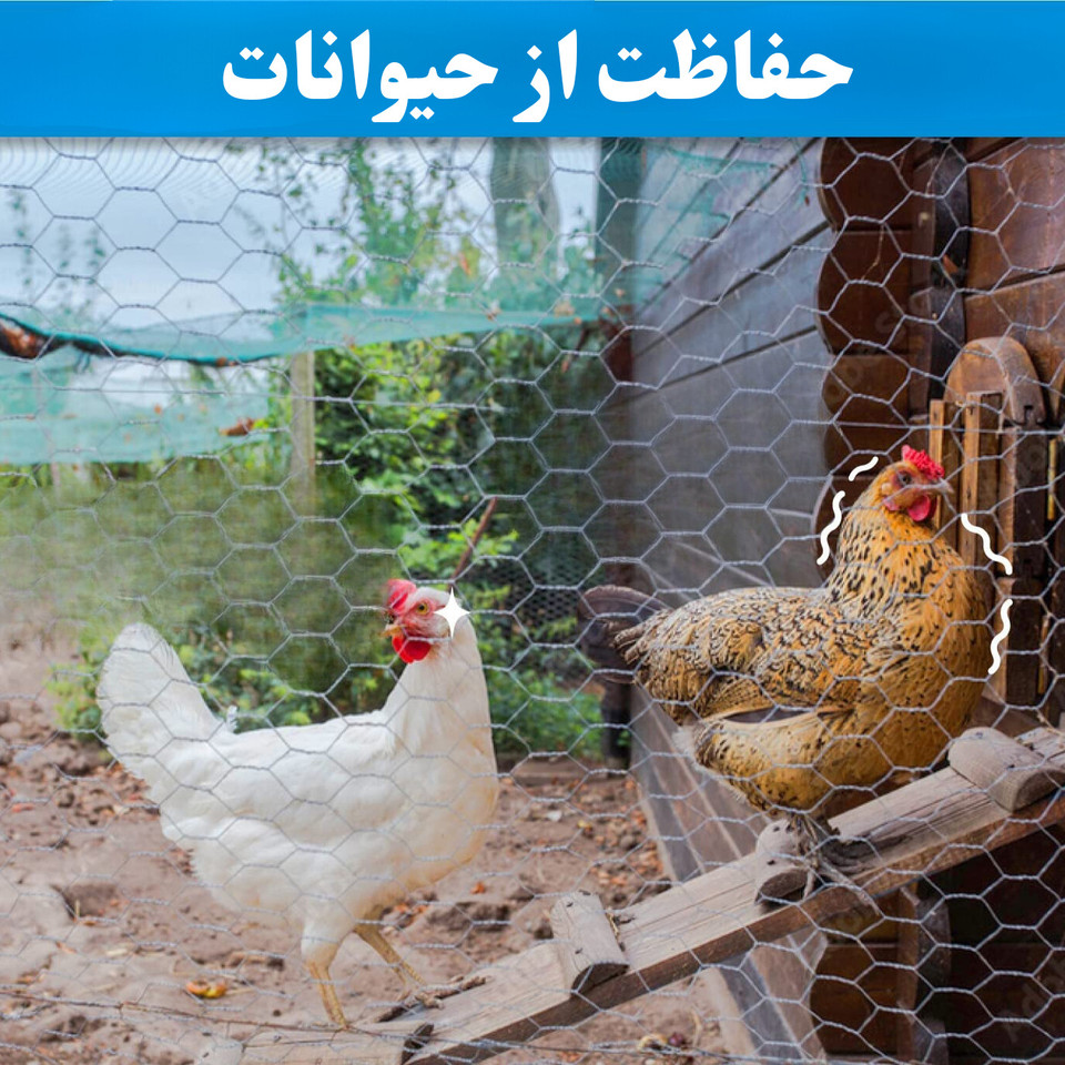 توری مدل مرغی گالوانیزه کد G18045 طول 45 متر