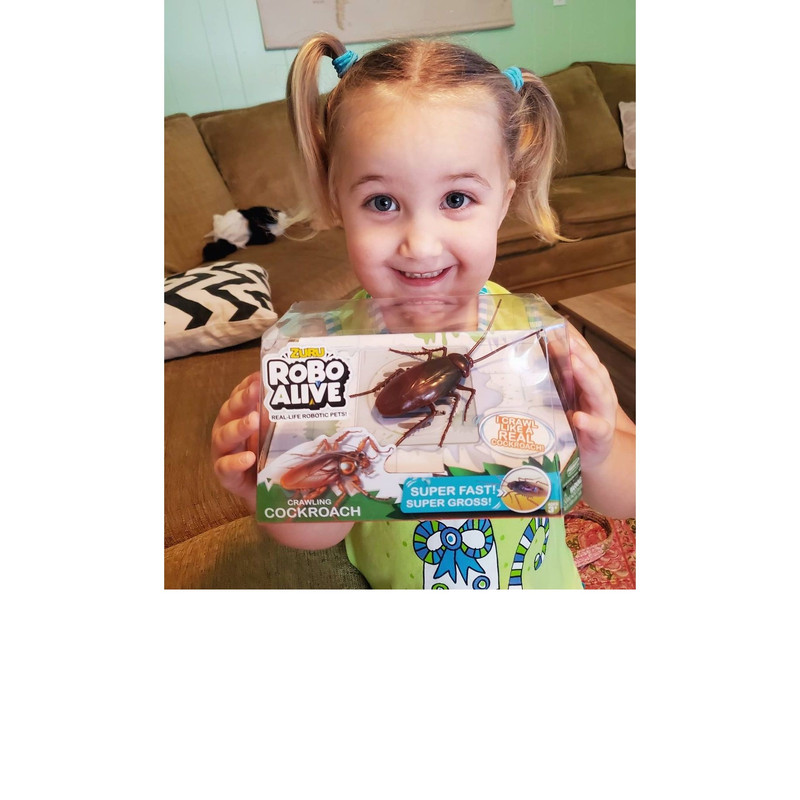 ربات مدل سوسک روبو