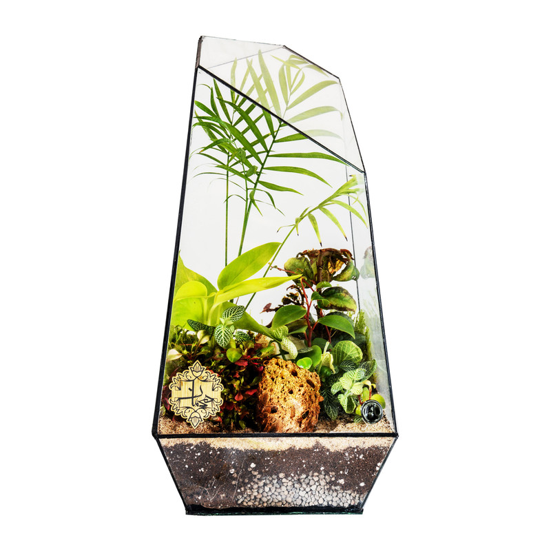 تراریوم هیمان مدل 5 ضلعی کد HV010