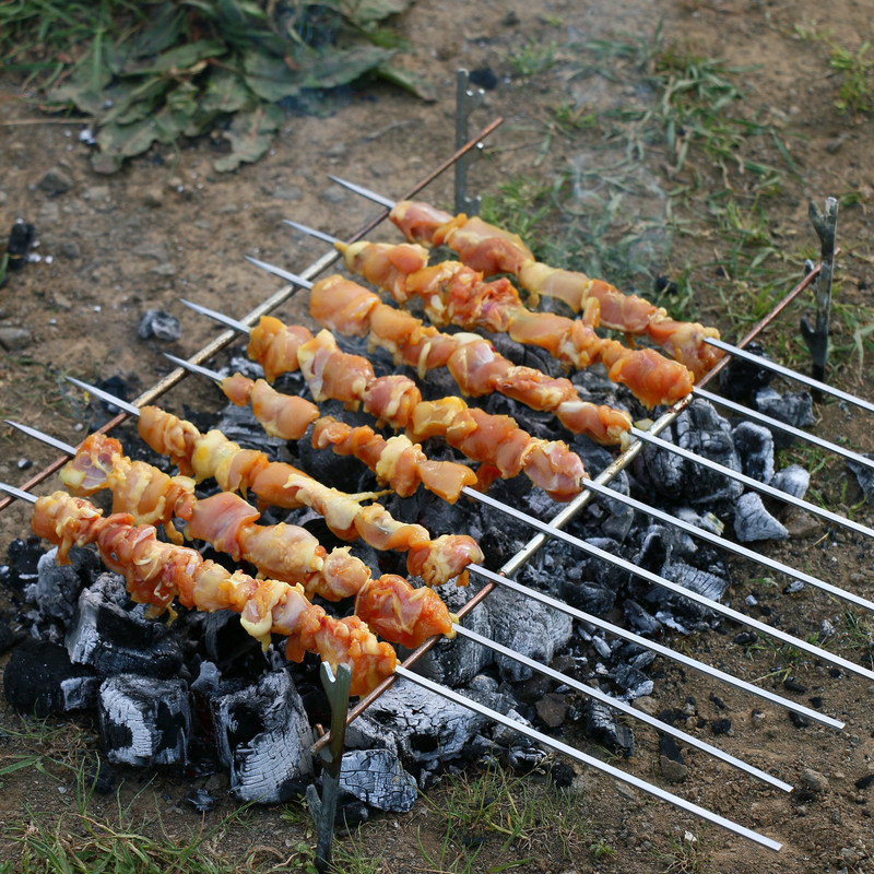 سیخ حیران مدل pg مجموعه 18 عددی به همراه جای سیخ