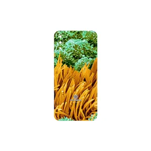 MAHOOT Atom Universe 6 Cover Sticker for Huawei Y7 Pro 2019