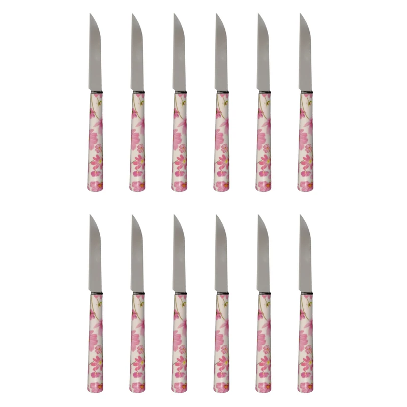 کارد میوه خوری دی ام جی مدل FLOWER-T بسته 12 عددی