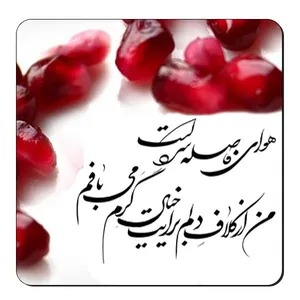  زیر لیوانی طرح انار یلدا کد nzl602