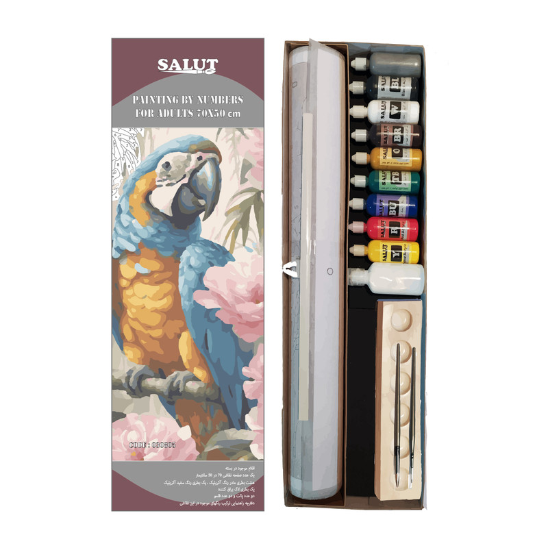 بسته رنگ آمیزی سالوت مدل آکرولیک کد 030805 مجموعه 18 عددی